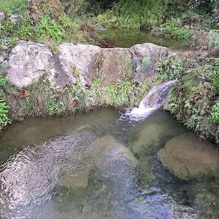 Casa Degli Alberi * Roncagli