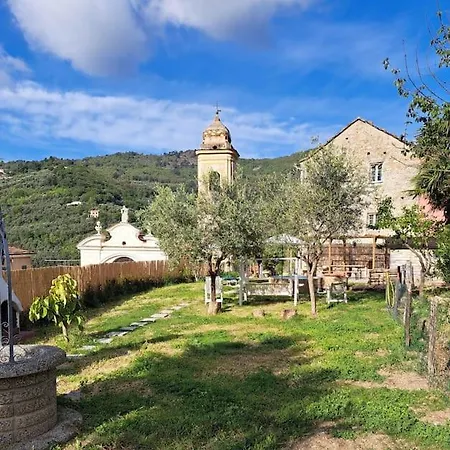 Casa Degli Alberi *